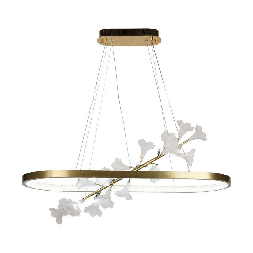 Lámpara de araña LED regulable en cadena LED/65W/230V 3000-6500K + control remoto