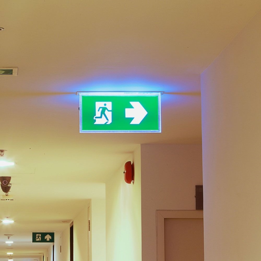 Lámpara de emergencia LED EMERGENCY EXIT SAMSUNG CHIP LED/2W/230V 6000K