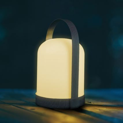 Lámpara de mesa decorativa LED RGBW MINORKA LED/0,3W/4,5V 3xAA