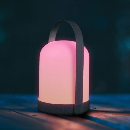 Lámpara de mesa decorativa LED RGBW MINORKA LED/0,3W/4,5V 3xAA