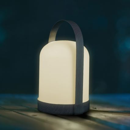 Lámpara de mesa decorativa LED RGBW MINORKA LED/0,3W/4,5V 3xAA
