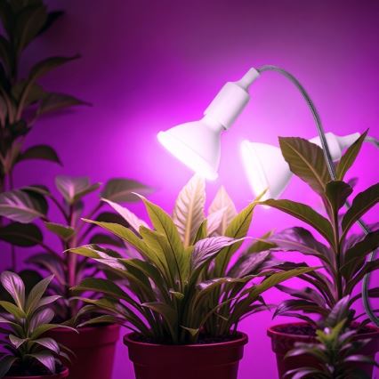 Lámpara de mesa flexible con clip para el cultivo de plantas PLANTY 2xE27/30W/230V blanco