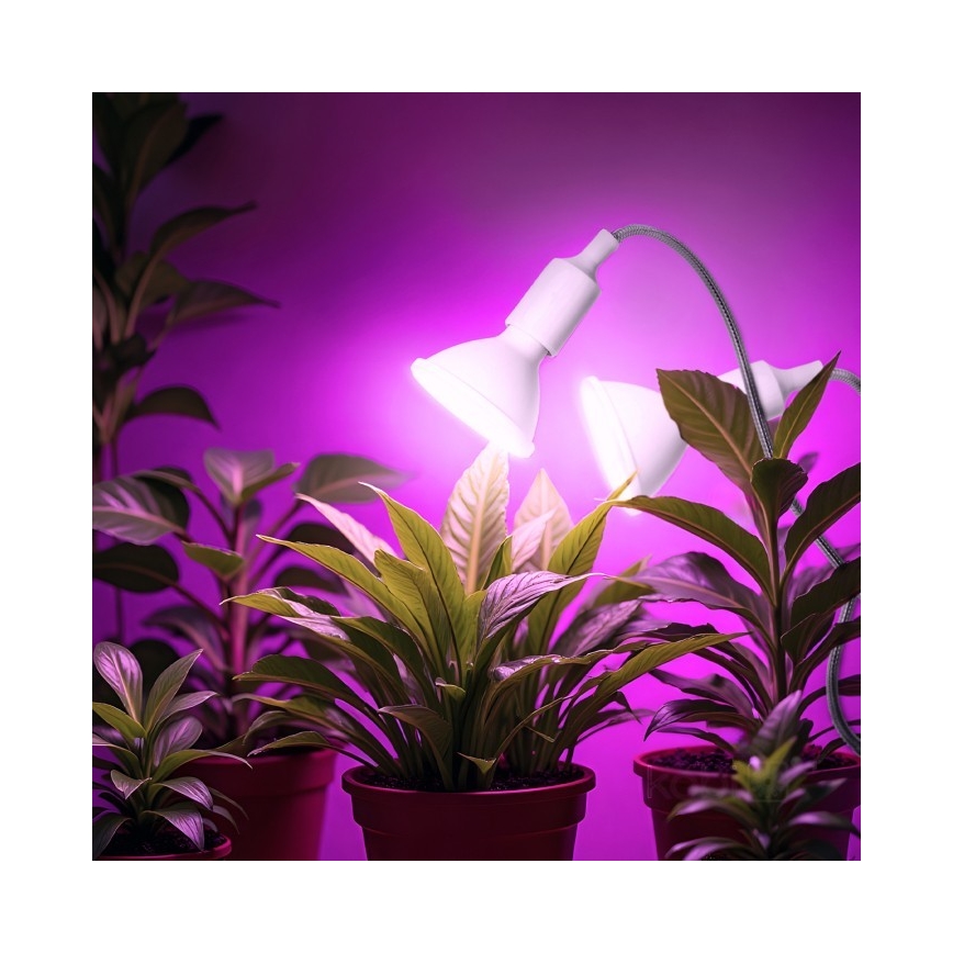 Lámpara de mesa flexible con clip para el cultivo de plantas PLANTY 2xE27/30W/230V blanco