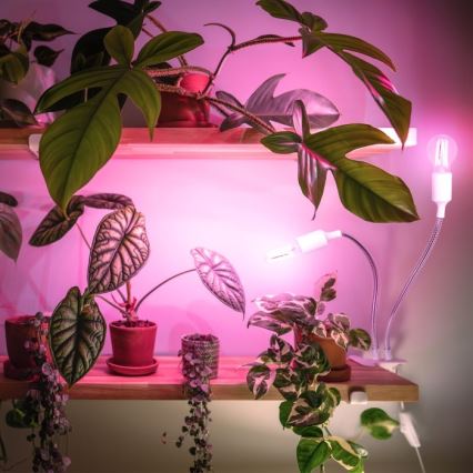 Lámpara de mesa flexible con clip para el cultivo de plantas PLANTY 2xE27/30W/230V blanco