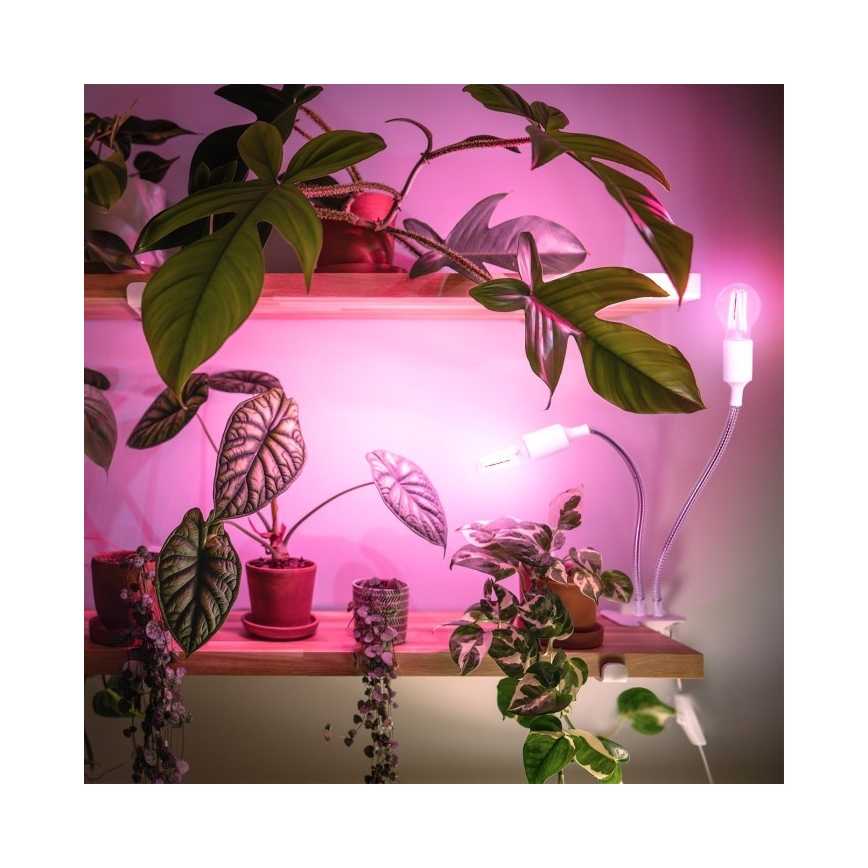 Lámpara de mesa flexible con clip para el cultivo de plantas PLANTY 2xE27/30W/230V blanco