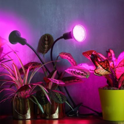 Lámpara de mesa flexible con clip para el cultivo de plantas PLANTY 2xE27/30W/230V negro