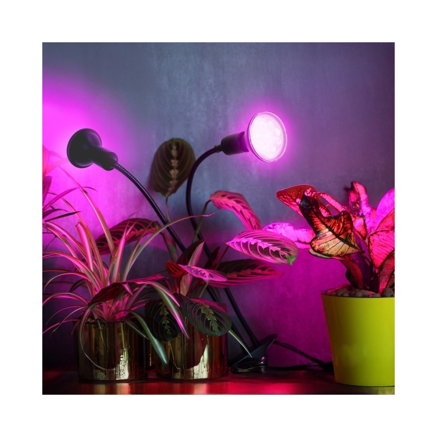 Lámpara de mesa flexible con clip para el cultivo de plantas PLANTY 2xE27/30W/230V negro