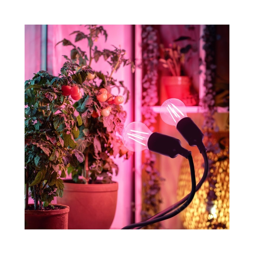 Lámpara de mesa flexible con clip para cultivo de plantas PLANTY 2xE27/30W/230V negra