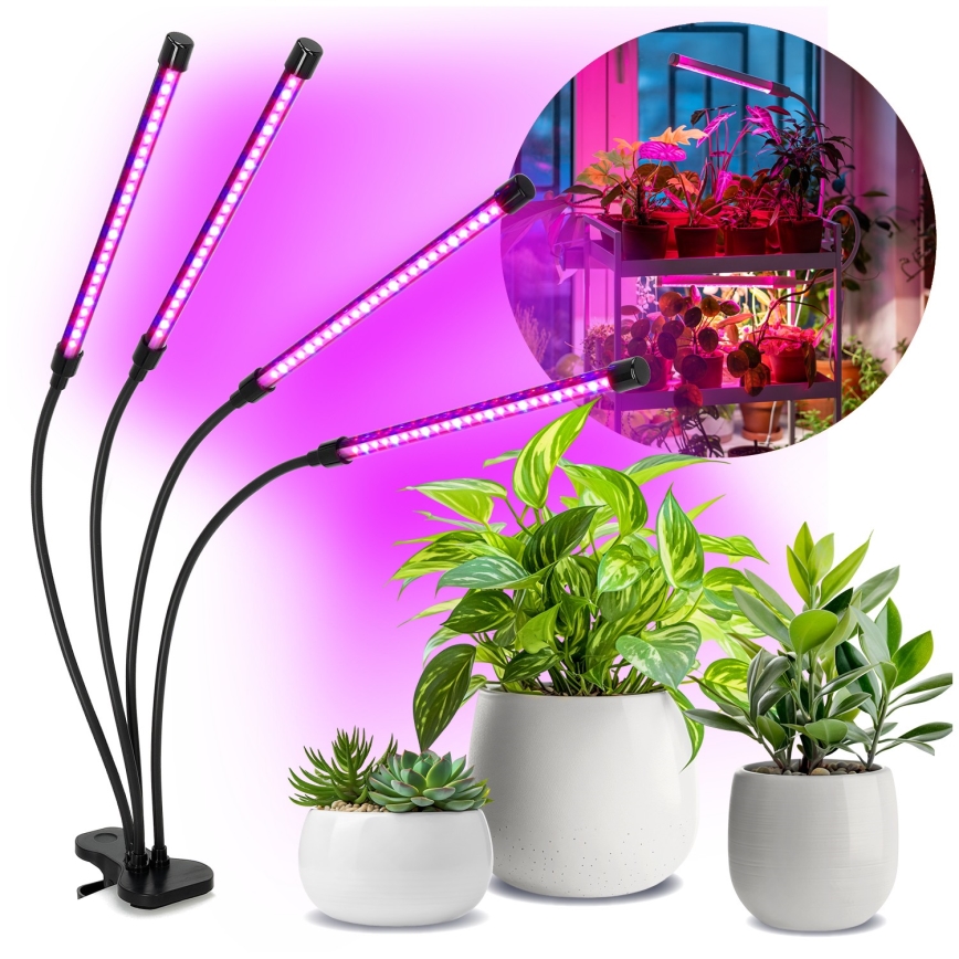 Lámpara de mesa flexible LED regulable con clip para el cultivo de plantas VITARO 4xLED/10W/230V negro