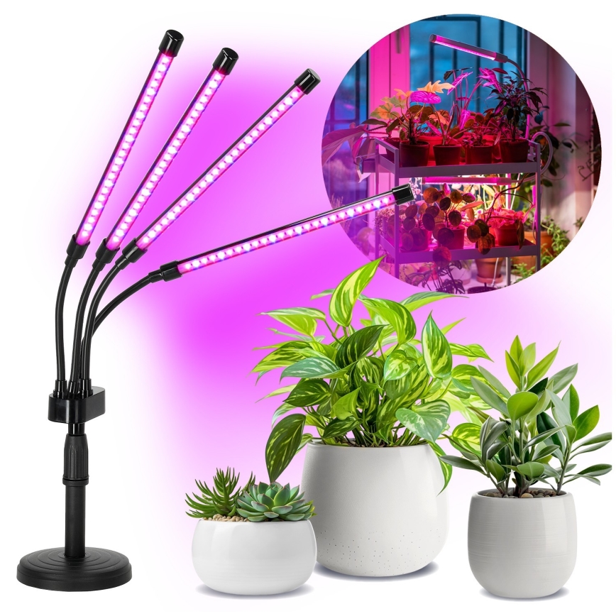 Lámpara de mesa flexible LED regulable para el cultivo de plantas VITARO 4xLED/10W/230V negro