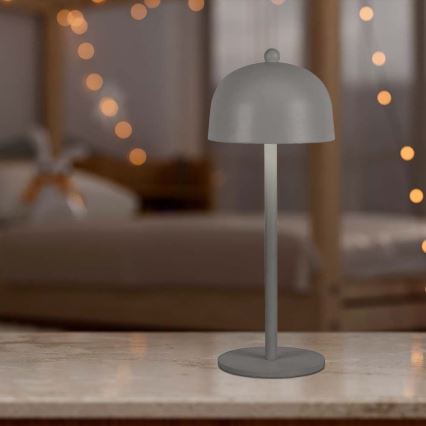 Lámpara de mesa LED recargable con atenuador táctil LED/1W/5V 3000-6000K 1800 mAh gris