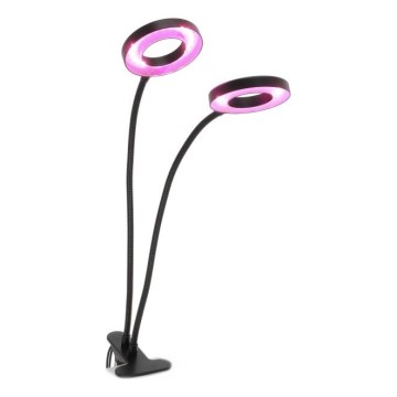 Lámpara de mesa LED regulable flexible con pinza para cultivo de plantas VITARO 2xLED/4W/230V negro