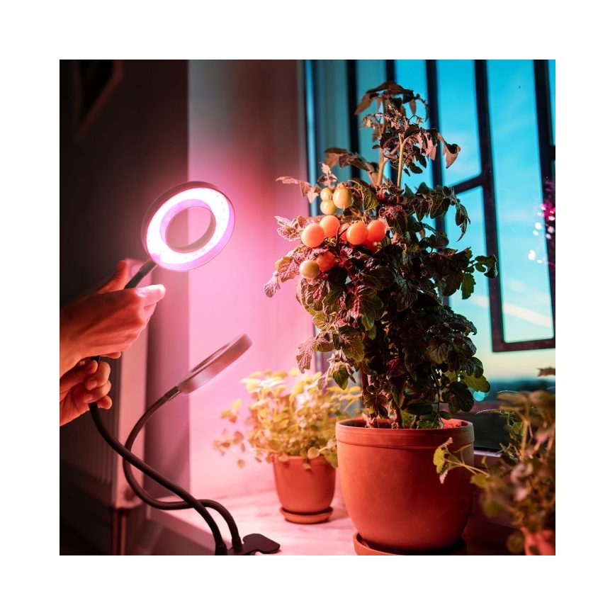 Lámpara de mesa LED regulable flexible con pinza para cultivo de plantas VITARO 2xLED/4W/230V negro