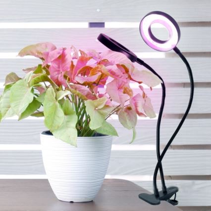 Lámpara de mesa LED regulable flexible con pinza para cultivo de plantas VITARO 2xLED/4W/230V negro
