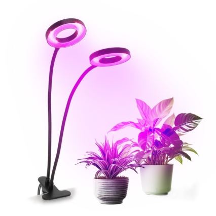 Lámpara de mesa LED regulable flexible con pinza para cultivo de plantas VITARO 2xLED/4W/230V negro