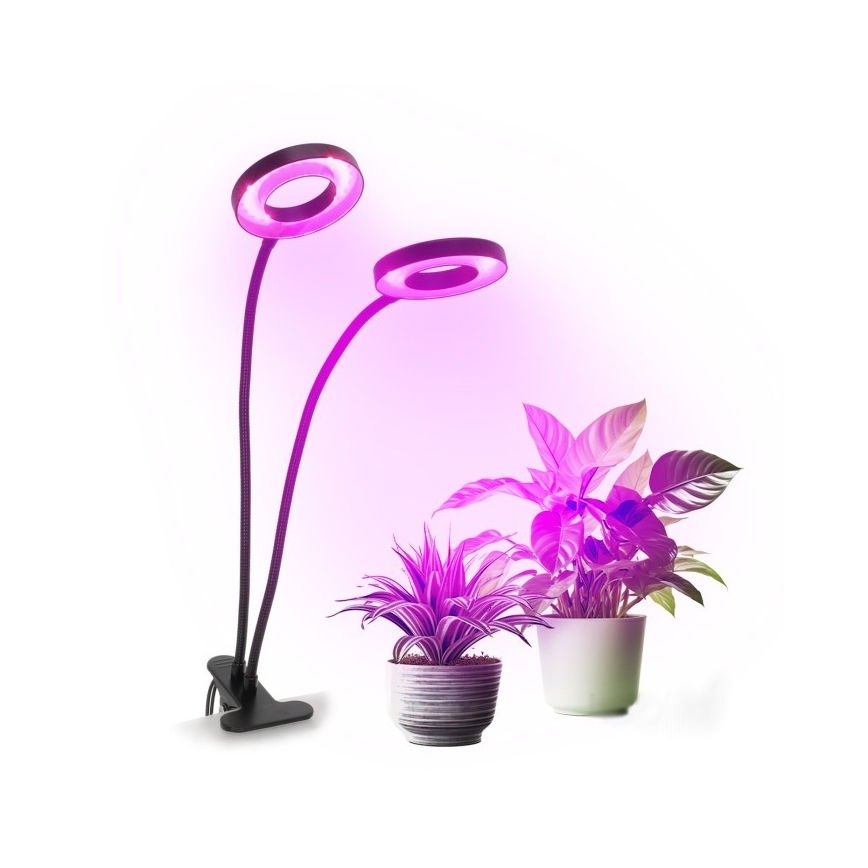 Lámpara de mesa LED regulable flexible con pinza para cultivo de plantas VITARO 2xLED/4W/230V negro