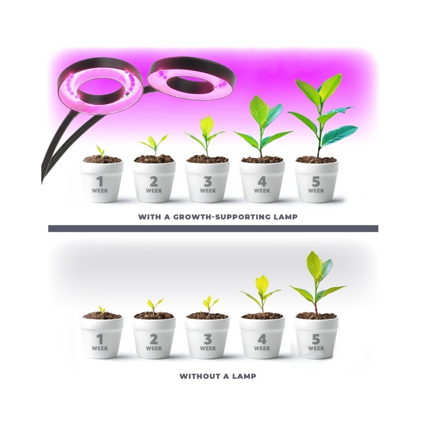 Lámpara de mesa LED regulable flexible con pinza para cultivo de plantas VITARO 2xLED/4W/230V negro