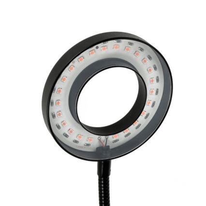 Lámpara de mesa LED regulable flexible con pinza para cultivo de plantas VITARO 2xLED/4W/230V negro