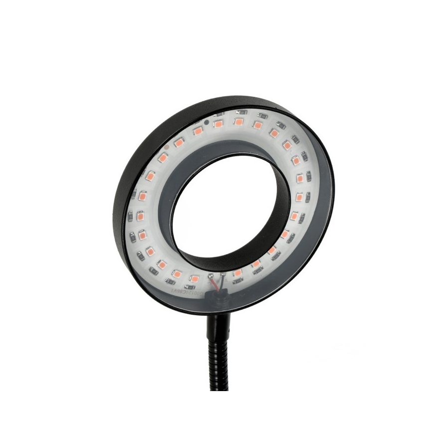 Lámpara de mesa LED regulable flexible con pinza para cultivo de plantas VITARO 2xLED/4W/230V negro