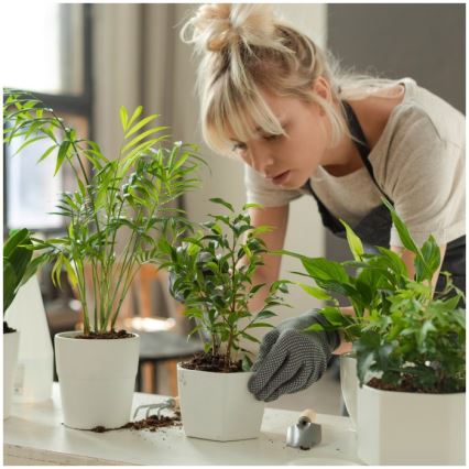 Lámpara de mesa LED regulable para cultivo de plantas VERDI LED/5W/5V 1300K CRI 95 blanca
