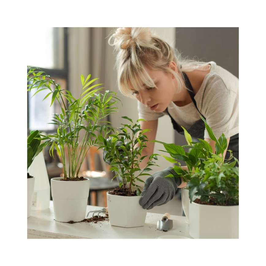 Lámpara de mesa LED regulable para cultivo de plantas VERDI LED/5W/5V 1300K CRI 95 blanca