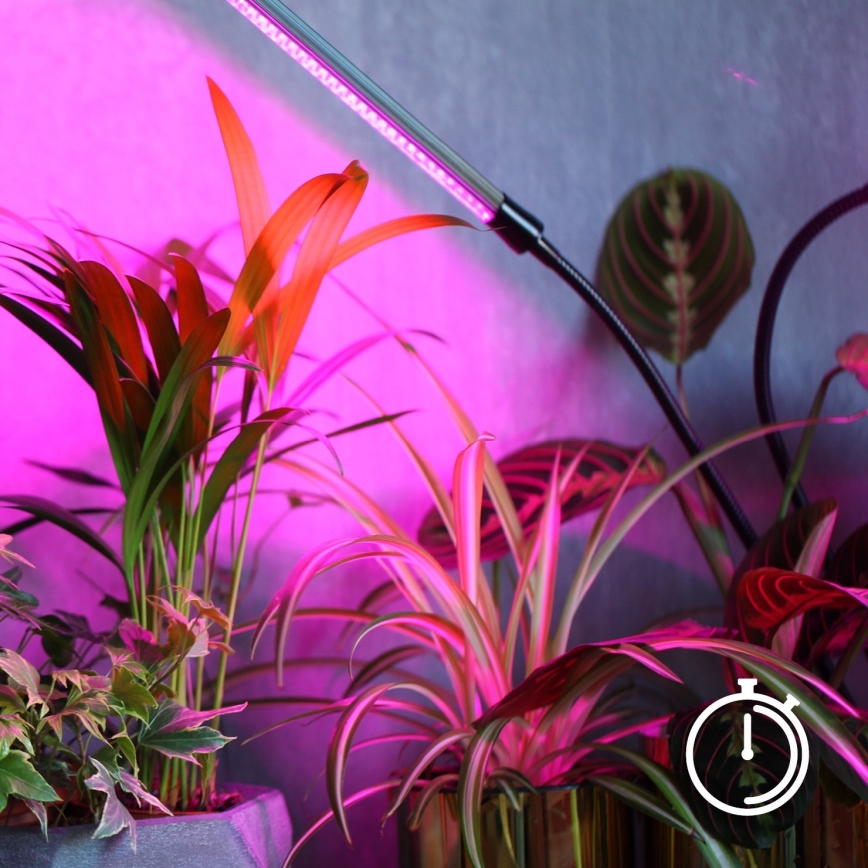 Lámpara de mesa LED regulable y flexible para cultivo de plantas VITARO 4xLED/10W/230V negra