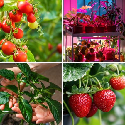 Lámpara de mesa LED regulable y flexible para cultivo de plantas VITARO 4xLED/10W/230V negra