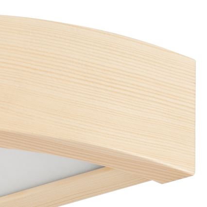 Lámpara de pared 1xE27/60W/230V