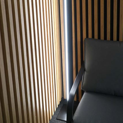 Lámpara de pie LED BERNADETTA LED/28W/230V 4000K negra