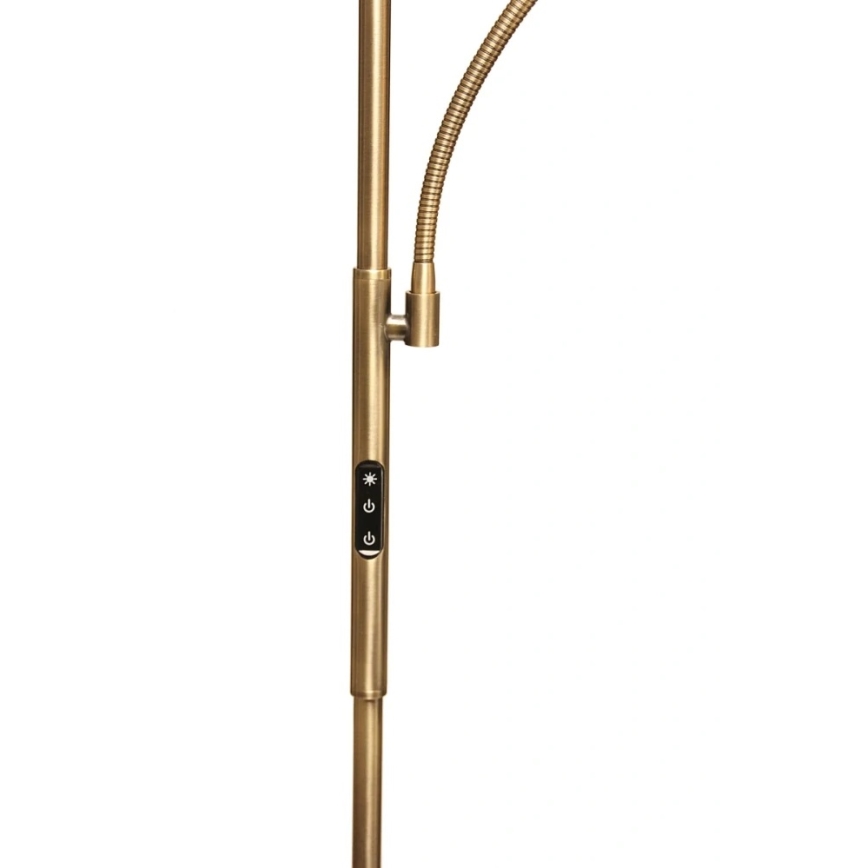 Lámpara de pie LED regulable NORA LED/25W/230V 2200/3000/4000K + LED/5W 3000K dorada + mando a distancia