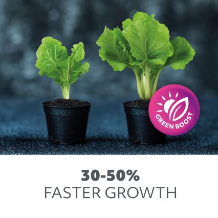 Lámpara de pie flexible LED regulable para el cultivo de plantas VITARO 4xLED/7,5W/230V negro