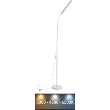 Lámpara de pie LED regulable SIGNUS LED/10W/230V 3000/4500/6500K blanco