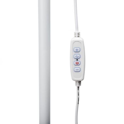 Lámpara de pie LED regulable SIGNUS LED/10W/230V 3000/4500/6500K blanco