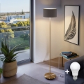 Lámpara de pie LED TUNJA 1xE27/20W/230V, diámetro 30 cm, dorado/marrón