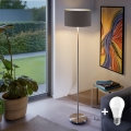 Lámpara de pie LED TUNJA 1xE27/20W/230V, diámetro 38 cm, cromo mate/topo