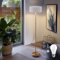 Lámpara de pie LED TUNJA 1xE27/20W/230V diámetro 38 cm dorada/blanca