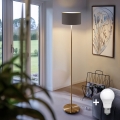 Lámpara de pie LED TUNJA 1xE27/20W/230V Ø 30 cm dorada/taupe