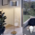 Lámpara de pie LED TUNJA 1xE27/20W/230V Ø 30 cm dorado/gris