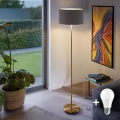 Lámpara de pie LED TUNJA 1xE27/20W/230V Ø 38 cm dorada/taupe