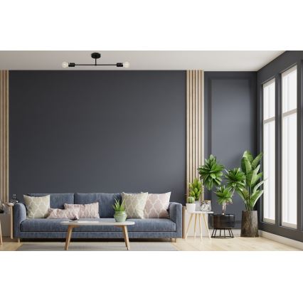Lámpara de superficie CAMBRIDGE 2xE27/15W/230V negro