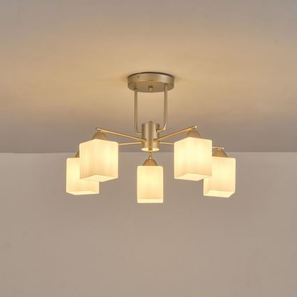 Lámpara de techo 5xE27/60W/230V