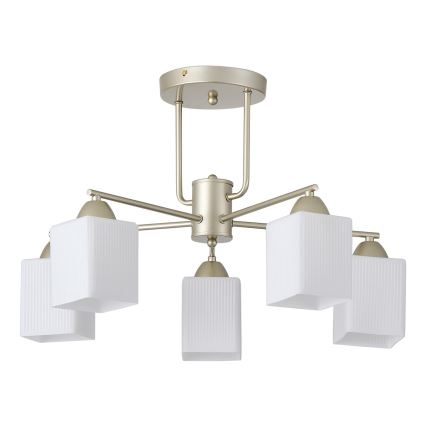 Lámpara de techo 5xE27/60W/230V