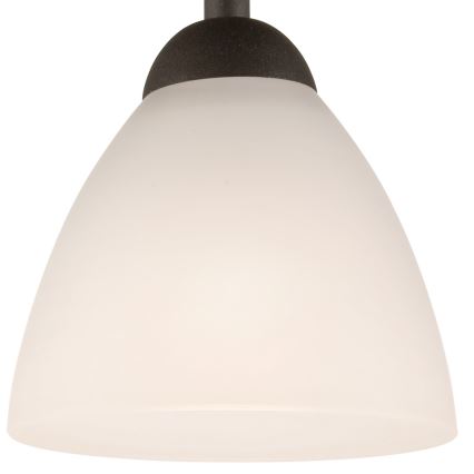 Lámpara de techo ADRIANO 1xE27/60W/230V haya