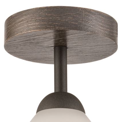 Lámpara de techo empotrada ADRIANO 1xE27/60W/230V haya