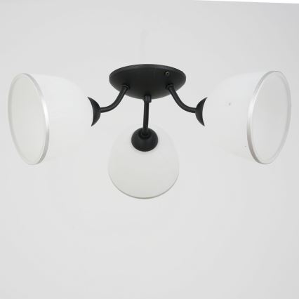 Lámpara de techo AVIA 3xE27/15W/230V