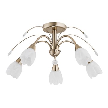Lámpara de techo BASTER 5xE14/10W/230V en acabado dorado