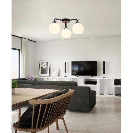 Lámpara de techo CALDERA 3xE27/60W/230V negro