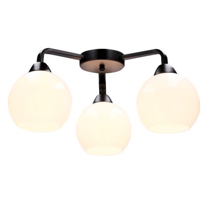 Lámpara de techo CALDERA 3xE27/60W/230V negro