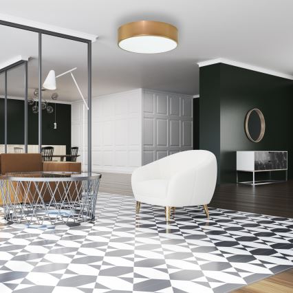 Lámpara de techo CLEO con sensor de movimiento y de crepúsculo 2xE27/24W/230V Ø 30 cm color dorado