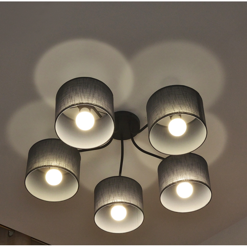 Lámpara de techo de superficie ALBA 5xE27/15W/230V gris